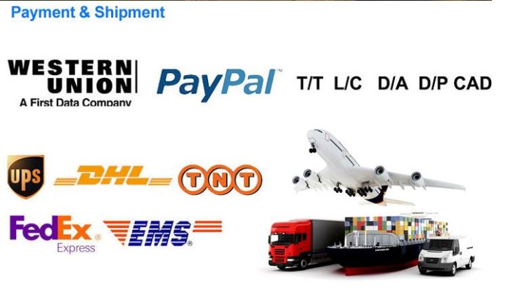 Payment and Shipment